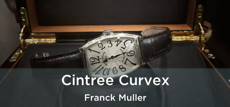  Cintree Curvex Franck Muller