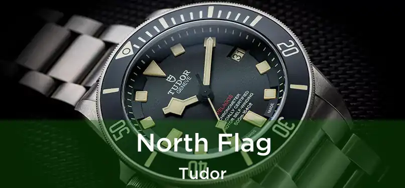  North Flag Tudor